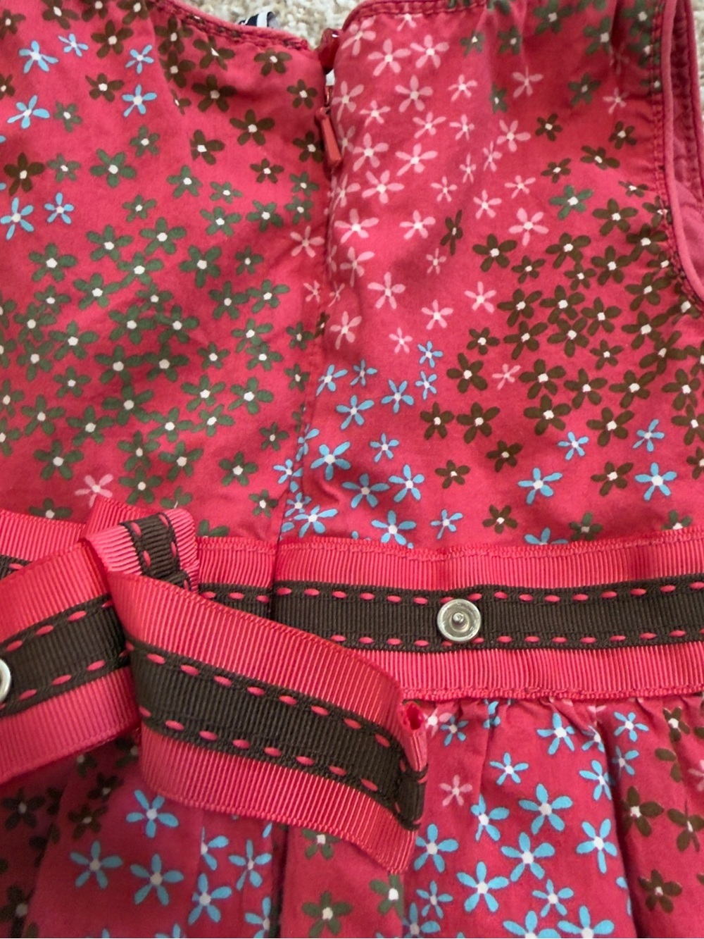 Baby Gap Pink Floral Dress 18-24M Cottagecore Easter Spring - Picture 5 of 7